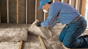 Best Insulation for Existing Homes  in Idabel, OK